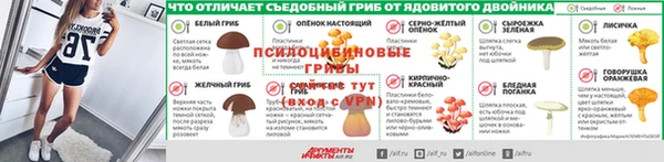 apvp Алзамай