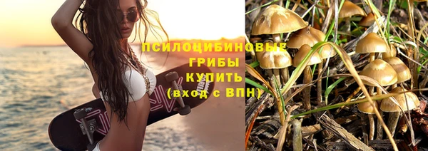 ПСИЛОЦИБИНОВЫЕ ГРИБЫ Абаза