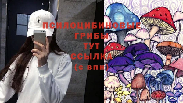 a pvp Алексин