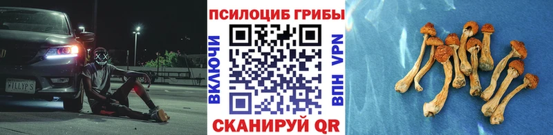 Псилоцибиновые грибы мицелий  купить наркотик  Каргополь 